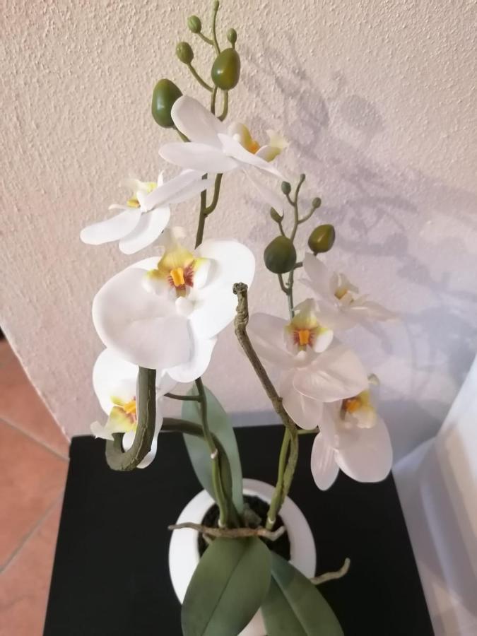 Perla Del Golfo Apartment Lerici Ngoại thất bức ảnh